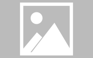 长葛招聘官网网页设计教程（招聘官网网页设计教程下载）